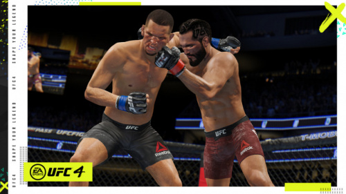UFC 4 [PLAYSTATION 4]